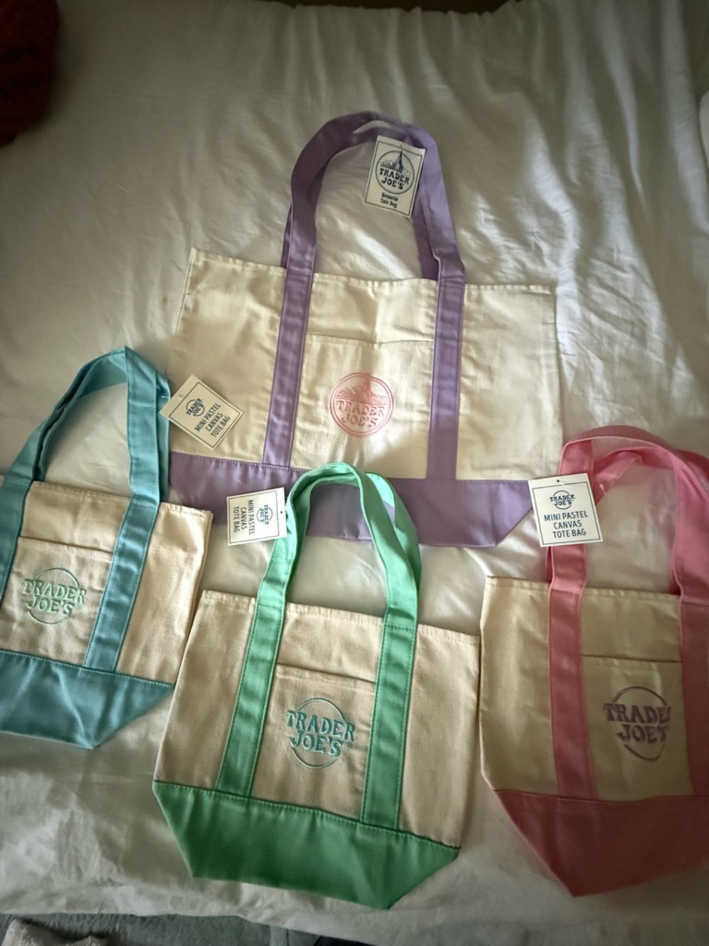 Pastel Canvas Tote Bag Set